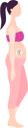 Baby Care Timeline