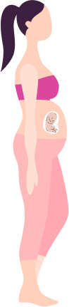 Baby Care Timeline
